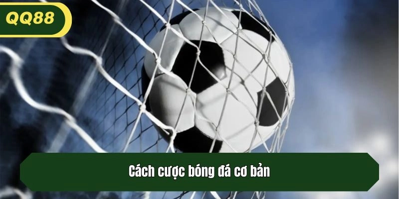 Cách cược bóng đá cơ bản