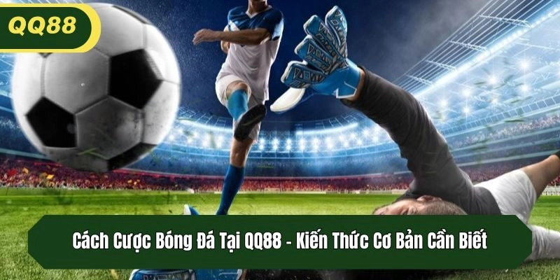 Cách Cược Bóng Đá Tại QQ88 – Kiến Thức Cơ Bản Cần Biết